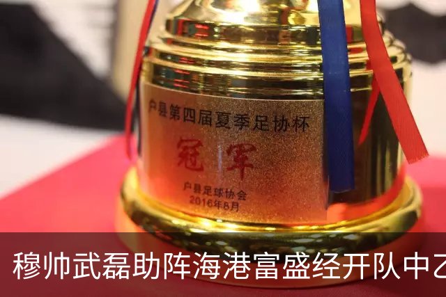 穆帅武磊助阵海港富盛经开队中乙联赛出征仪式